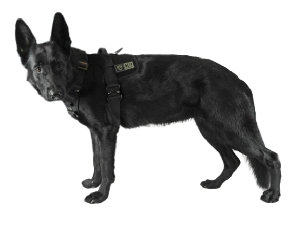 K9 Thorn taktikai hám Delta, fekete