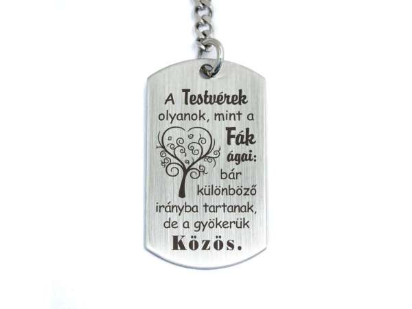 A testvérek olyanok acél medálos kulcstartó