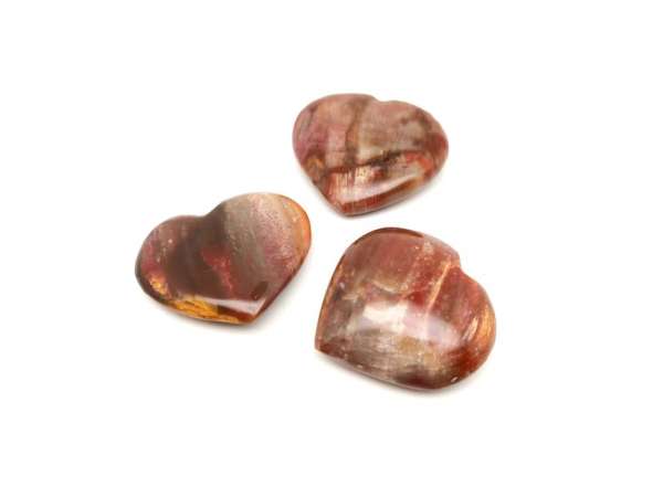 Fa kövület szív 3-3,5cm