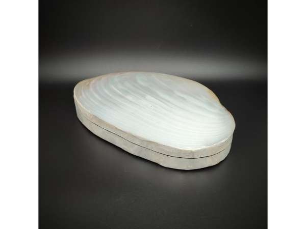Krém-fehér kagyló ékszertartó doboz dekoratív nagy méret 18 cm