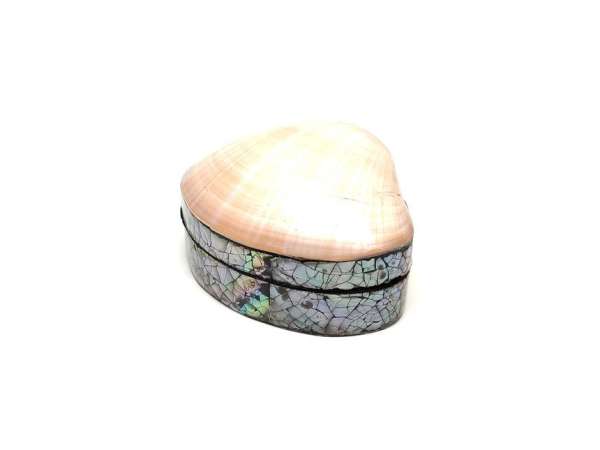 Kagyló ékszertartó doboz fehér-krém kis méretű díszdoboz 7–8×6 cm