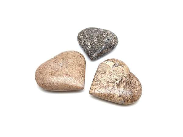 Dinócsont szív 4x6cm