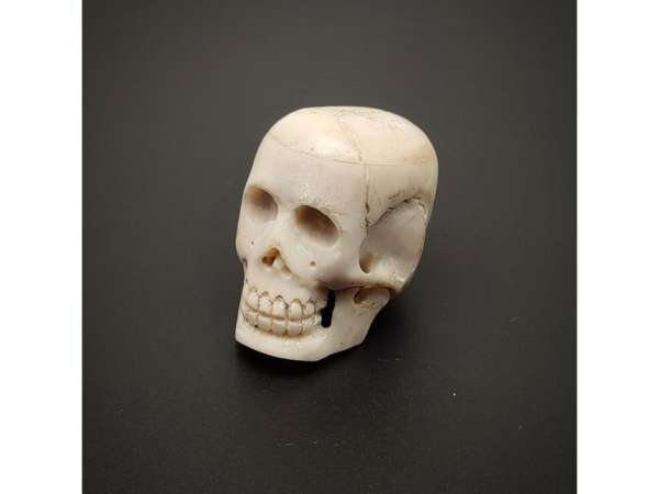 Faragott csont koponya 3-4cm