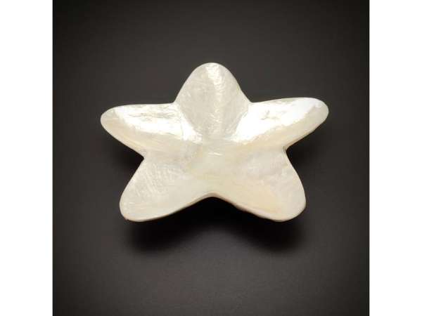 Tál kagyló csillag 10cm