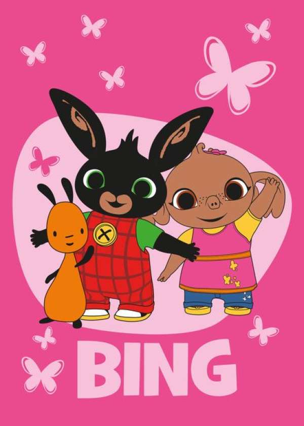 Gyerek polár takaró Bing Sula 