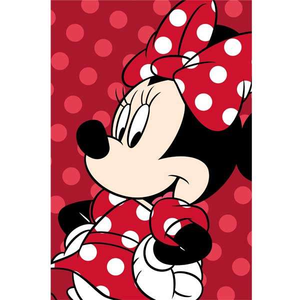 Mikroszálas takaró Minnie 