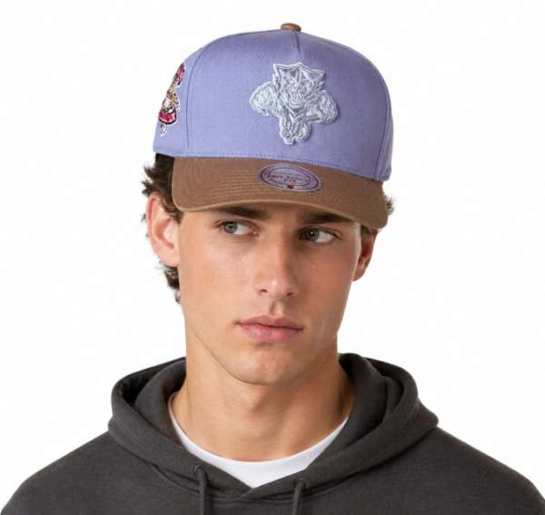 Mitchell & Ness snapback Florida Panthers Pro Pinch Snapback blue