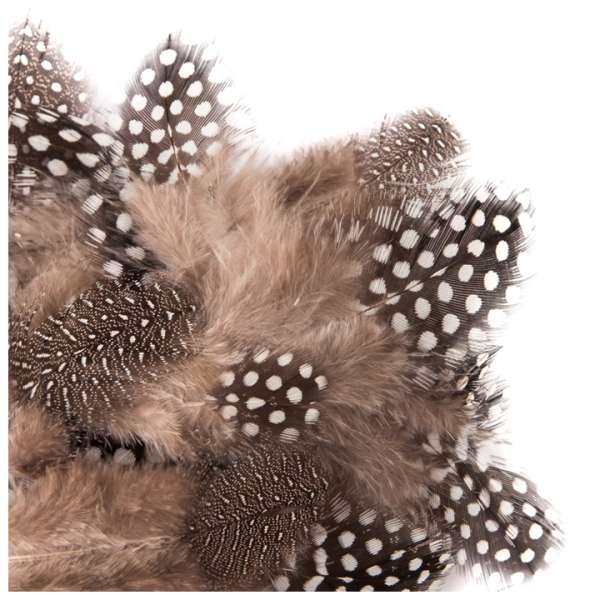 Fürj tollak természetes 5 - 12 / 5 g (tollak dekorálásra)