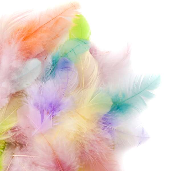 Dekor tollak 5 - 12 cm - 5g - Pastell (tollak dekorálásra)