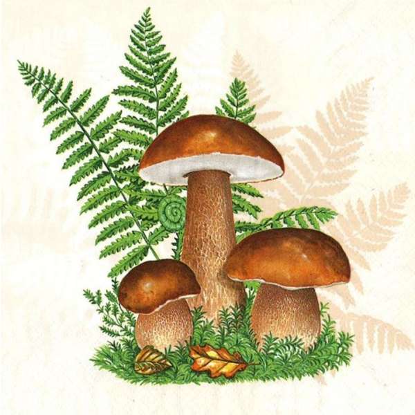 Decoupage szalvéták Boletus with Leaves of Fern - 1 db (decoupage)