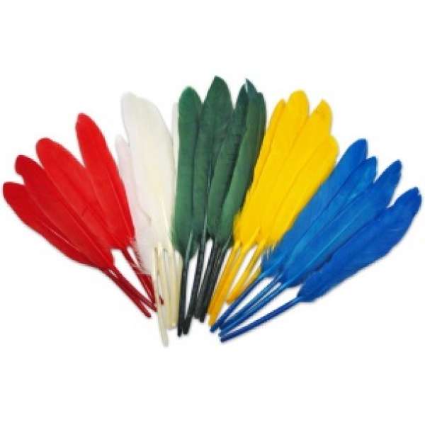 Indián toll 10-17 cm (dekoratív toll)