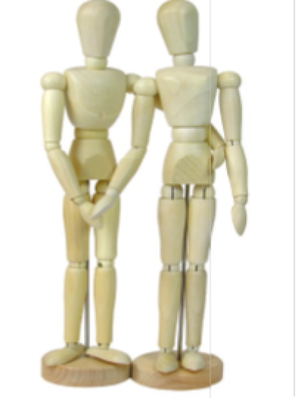 Model - női test - 30 cm (emberi test model ? nő)