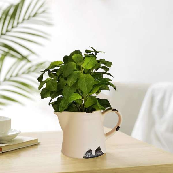 Menta műnövény kancsóban