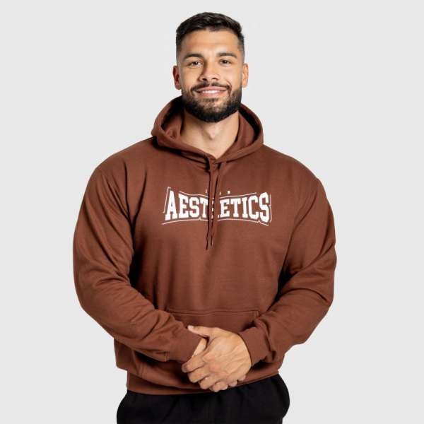 Férfi kapucnis pulóver Iron Aesthetics Frontline, cocoa
