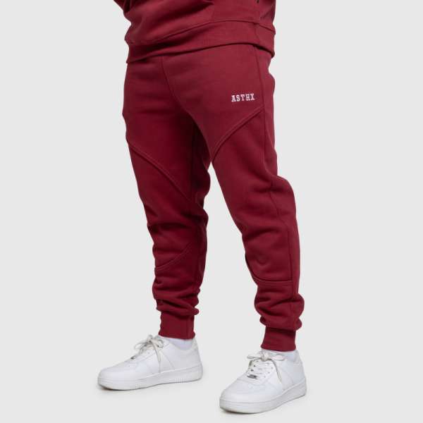 Férfi melegítőnadrág Iron Aesthetics ASTHX, bordó