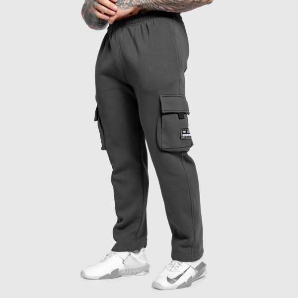 Férfi melegítőnadrág Iron Aesthetics Utility, szürke