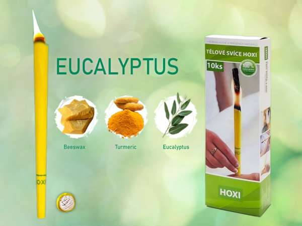 HOXI testgyertyák - Eukaliptusz