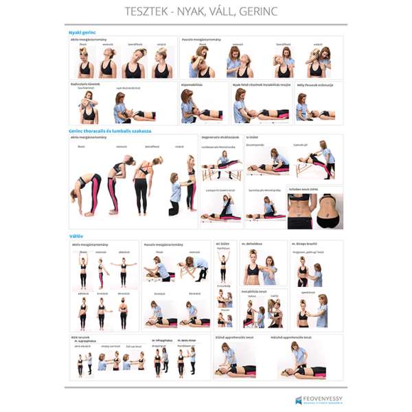 Feövenyessy anatómiai poszter - A nyaki gerinc és a váll leggyakoribb tesztjei