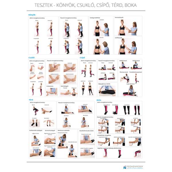 Feövenyessy anatómiai poszter - A könyök, csukló, csípő, térd, boka leggyakoribb tesztjei