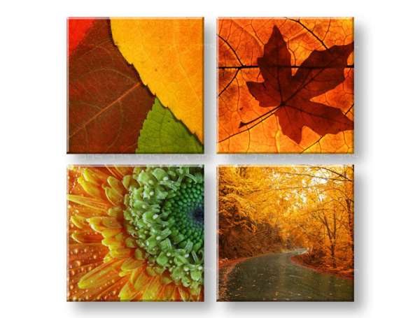 Falfestmény 50 árnyalatú sárga 4 rész XOBKOL24E42