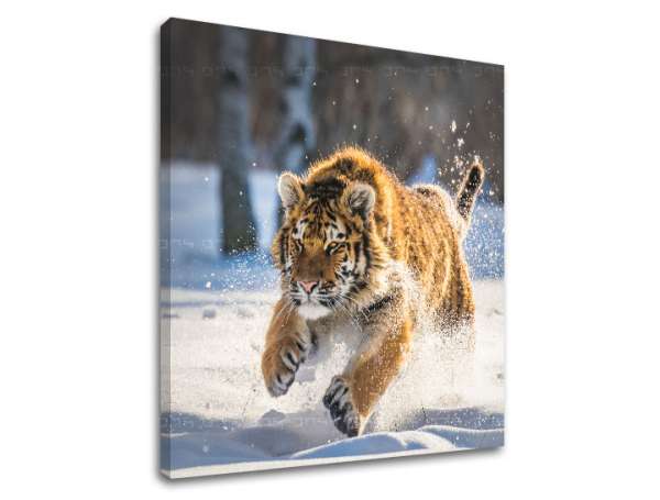 Falfestmény ANIMALS_048-12