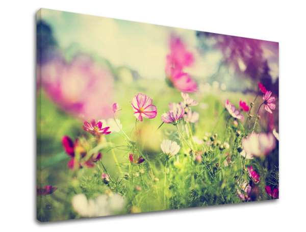 Falfestmény PINK FLOWERS_165-11