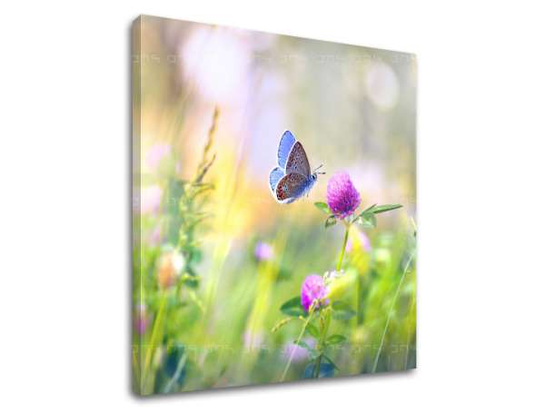 Falfestmény COLORFUL FLOWERS_161-12