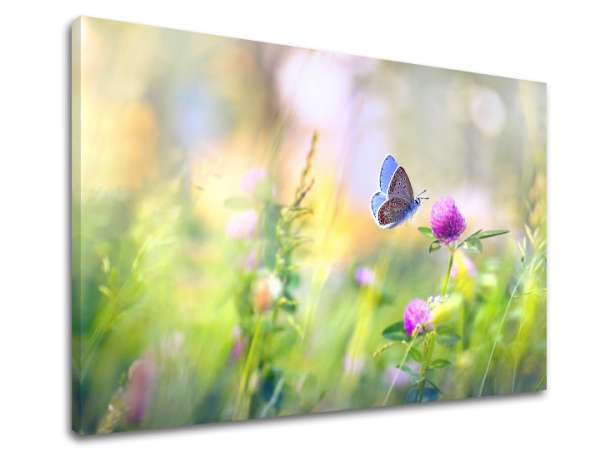 Falfestmény COLORFUL FLOWERS_161-11