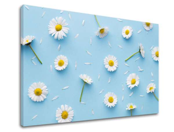 Fali festmény WHITE FLOWERS_163-11