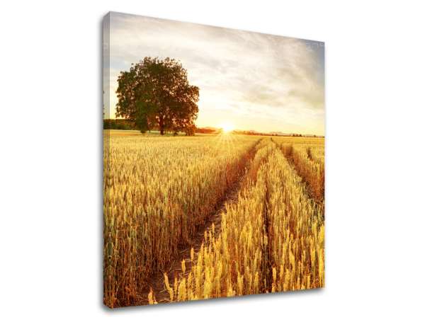 Falfestmény LÚKA_053-12