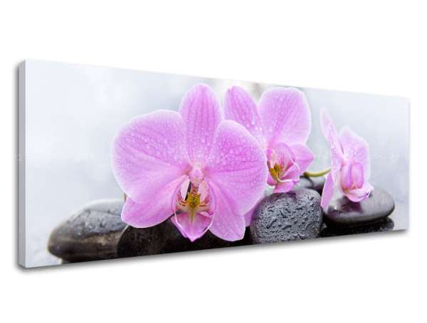 A kép a vásznon FENG SHUI_062-13