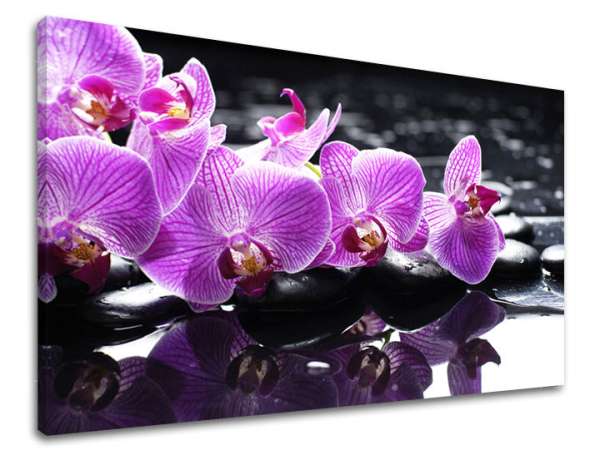 Falfestmény FENG SHUI 100x150 cm