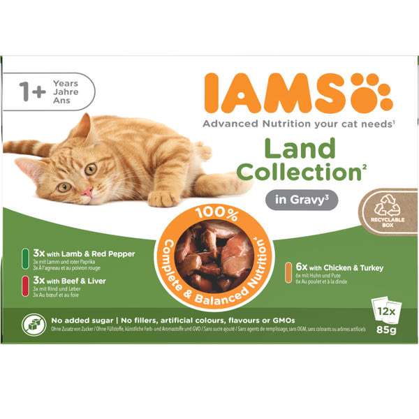 IAMS Advenced Nutrition állateledel felnőtt macskáknak szárazföldi kollekció 12x85 g - 1020 g