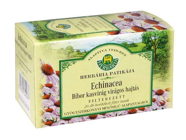 Herbária Echinacea Bíbor kasvirág filterezett - 20 x 1,5 g