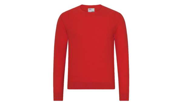 Colorful Standard Light Merino Wool Crew