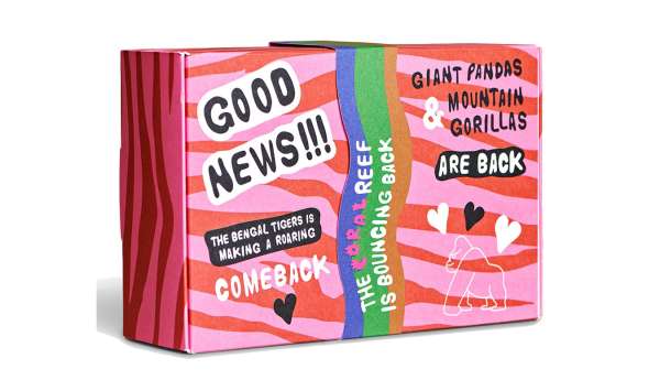 Happy Socks 4-Pack Gift Set