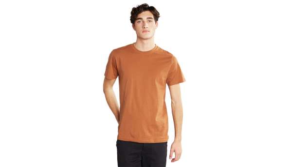 Dedicated T-shirt Stockholm Base Rawhide Brown