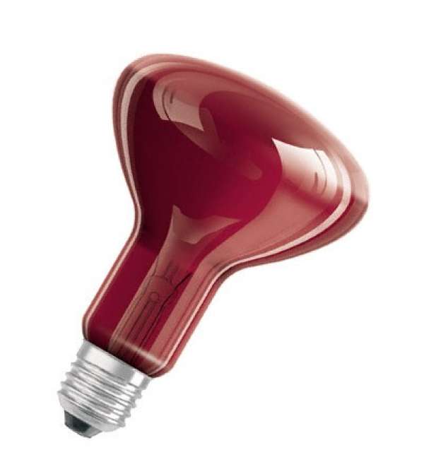 Infra melegítő izzó 100W E27 Full red / R80