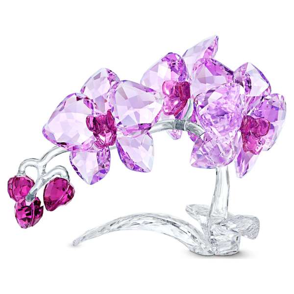Swarovski Orchidea