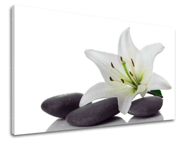 Fali művészet FENG SHUI FS029E11