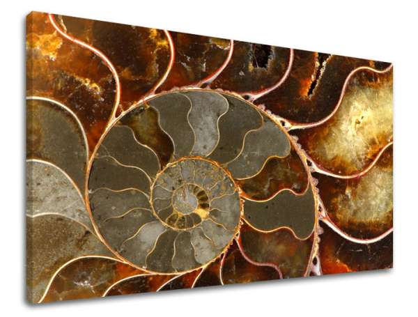 Falfestmény INSPIRÁCIÓ IN041E11