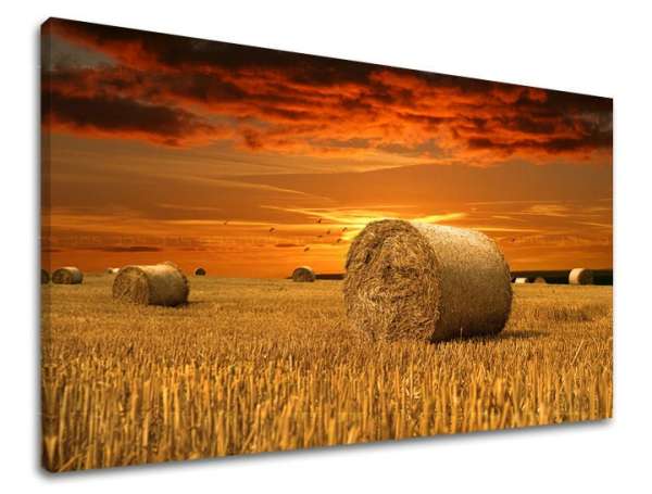 Falfestés LAND KR034E11