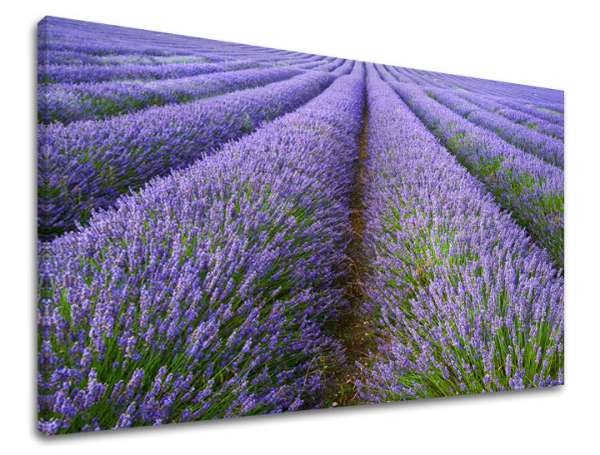 Fali festmény LANDSCAPE KR039E11