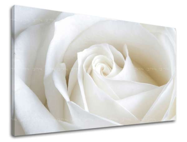 Falfestmény FLOWERS OF ROSES XOBKV103E11