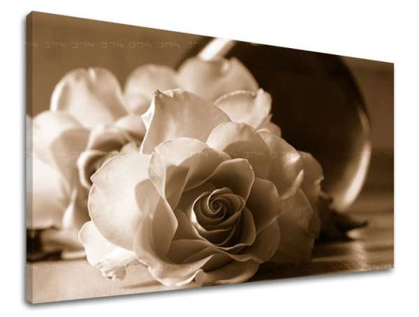 Falfestmény FLOWERS OF ROSES XOBKV104E11