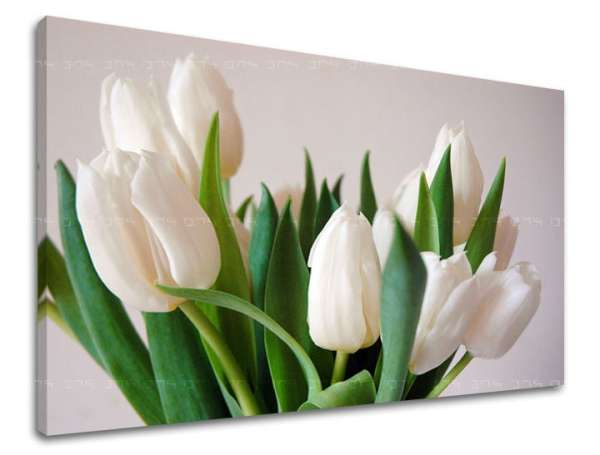 Falfestmény FLOWERS TULIPANS XOBKV108E11