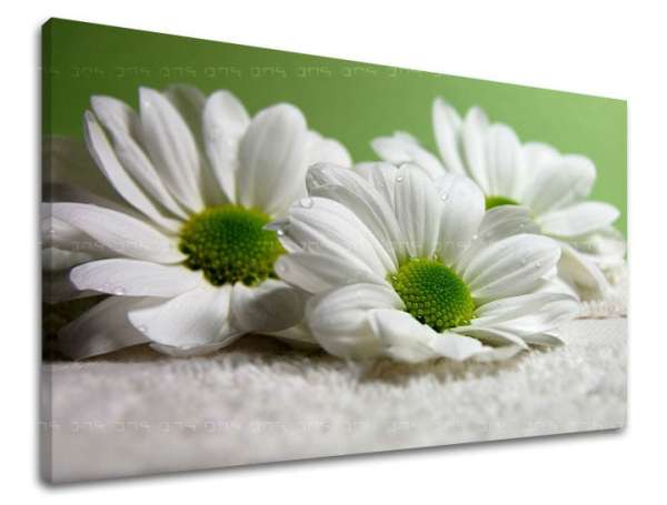 Fali festmény FLOWERS XOBKV111E11