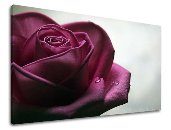 Falfestmény Rózsavirágok XOBKV130E11