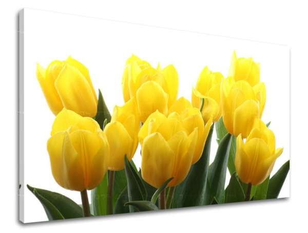 Falfestmény FLOWERS TULIPANS XOBKV141E11