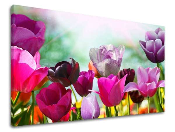 Falfestmény FLOWERS TULIPANS XOBKV148E11